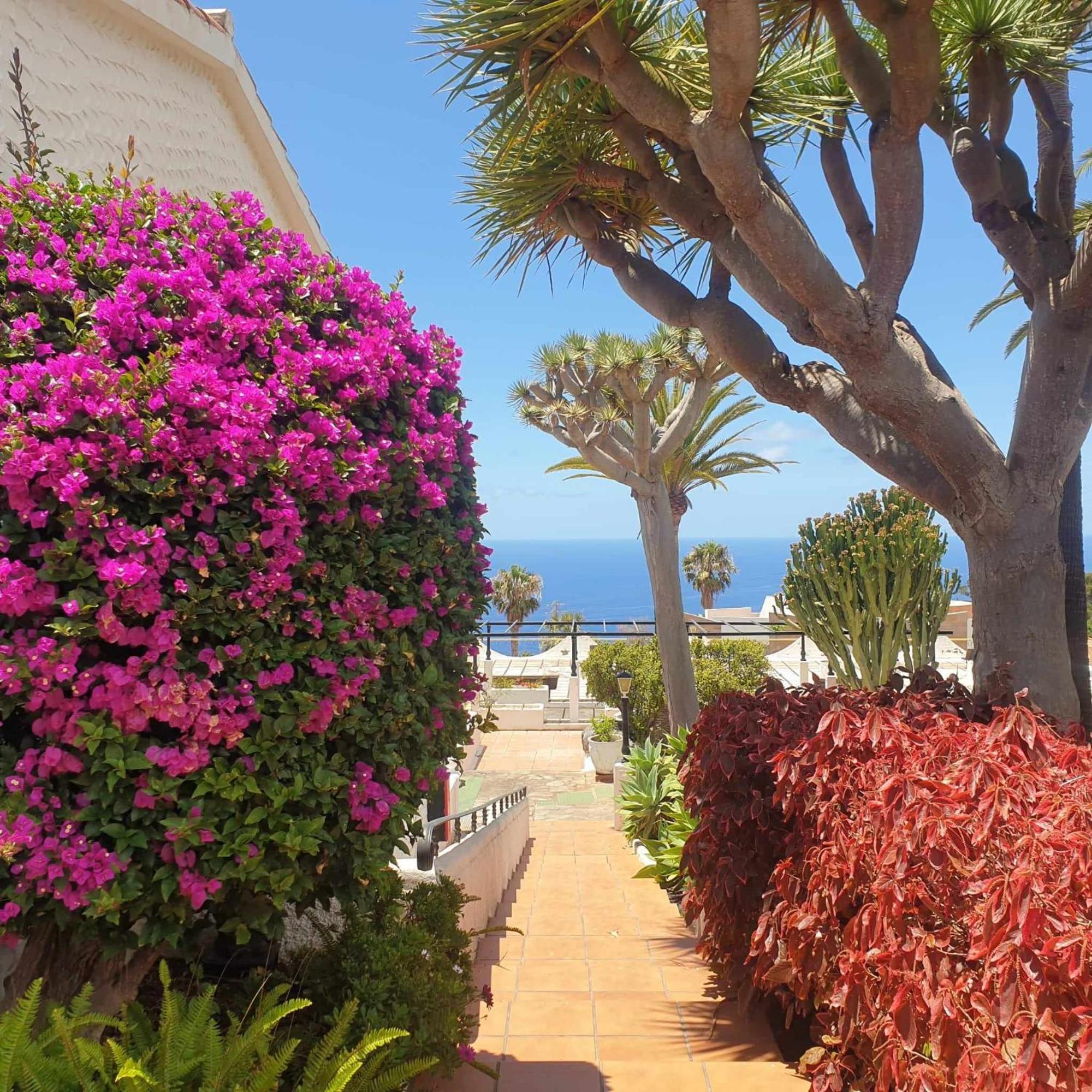 Madre Tierra Apartment Puerto de la Madera Exteriér fotografie